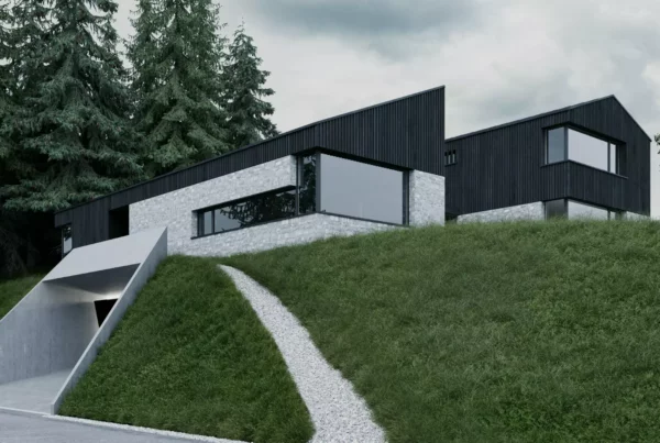 Modernes Einfamilienhaus mit schwarzer Holzfassade und Natursteinmauerwerk auf einem grünen Hang im Tennengau bei bewölktem